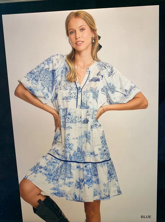 Blue Willow Midi dress